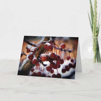 Cartão Frozen Berries