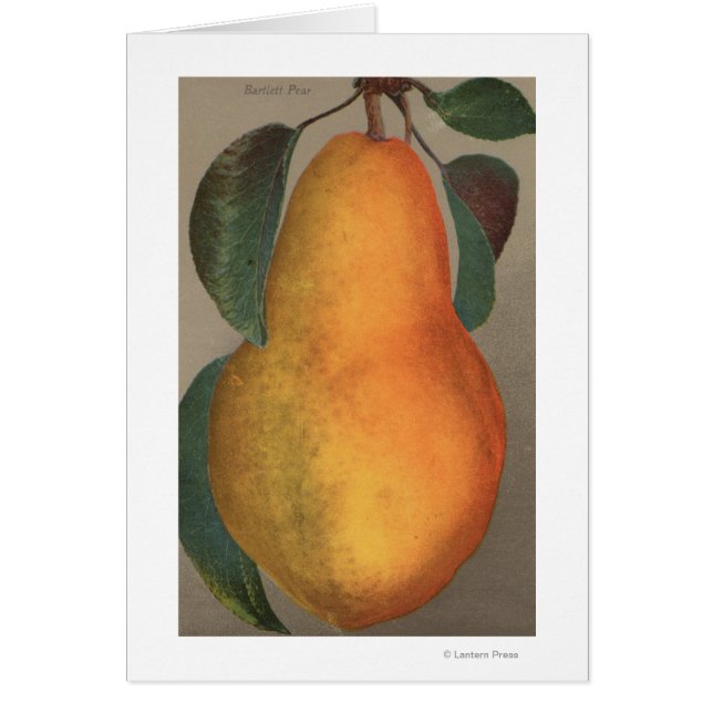 Cartão Fruta Cromo Lithógrafo de Bartlett Pear (Frente)