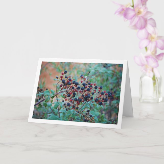 Cartão Fruta Selvagem de Blackberry (Orquídea)