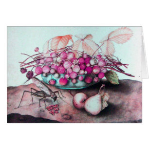 CARTÃO FRUTAS DA SEASON/ESTRAWBERRIES E PERAS