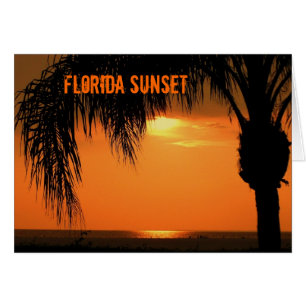 Cartão Ft. Myers Sunset