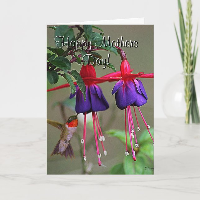 Cartão Fuchsia and Hummingbird Mothers Day (Frente)