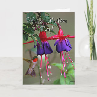 Cartão Fuchsia and Hummingbird Mothers Day