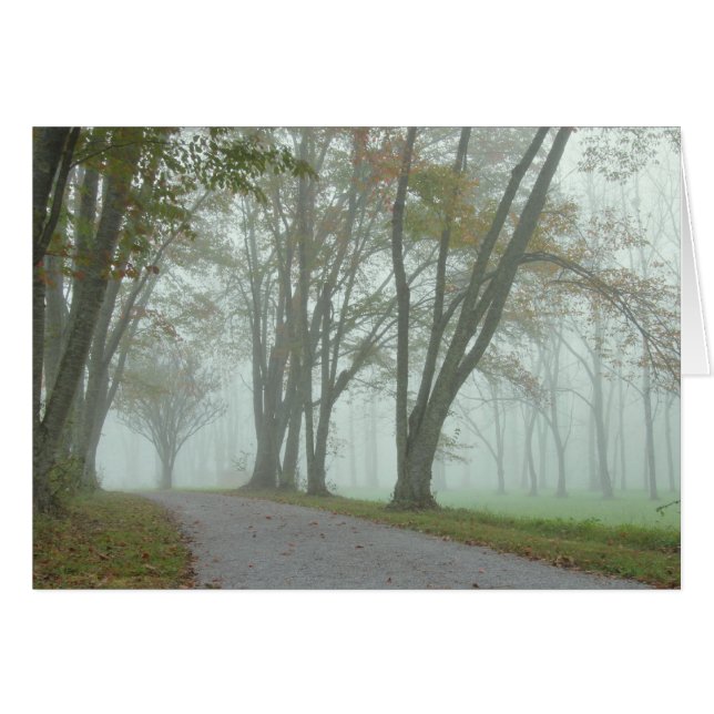 Cartão Fuga das aves canoras (Frente Horizontal)