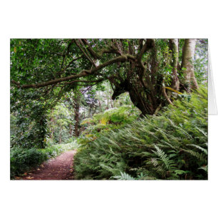 Cartão Fuga de caminhada havaiana