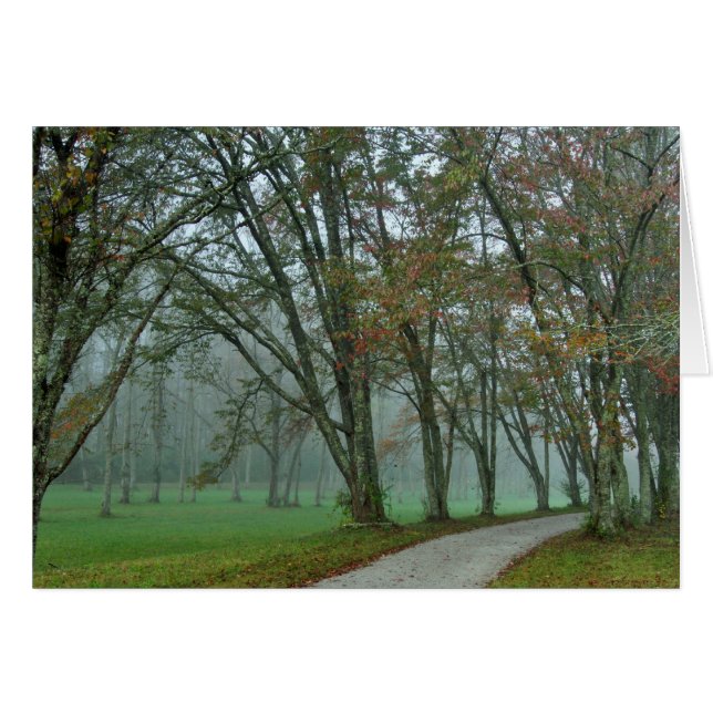 Cartão Fuga II das aves canoras (Frente Horizontal)