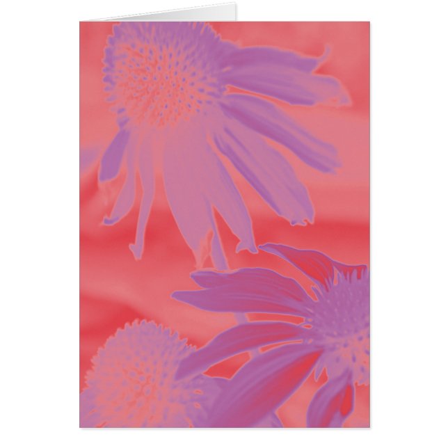 Cartão Fulgor de néon do Echinacea #9 (Frente)