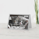 Cartão Fun Heart to Heart Sister Birthday Cat Animal<br><div class="desc">If you love Cats or Animals this card will bring a smile to your face  Perfect for the sister who loves Cats.  We may not always see eye to eye but always heart to heart</div>