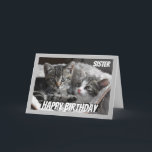 Cartão Fun Heart to Heart Sister Birthday Cat Animal<br><div class="desc">If you love Cats or Animals this card will bring a smile to your face  Perfect for the sister who loves Cats.  We may not always see eye to eye but always heart to heart</div>