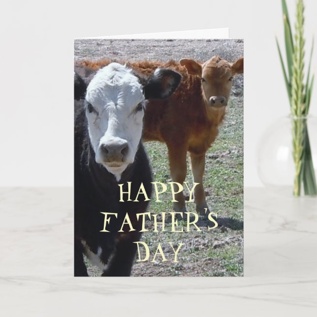 Cartão Fun Western Happy Father's Day Calf Calves (Frente)