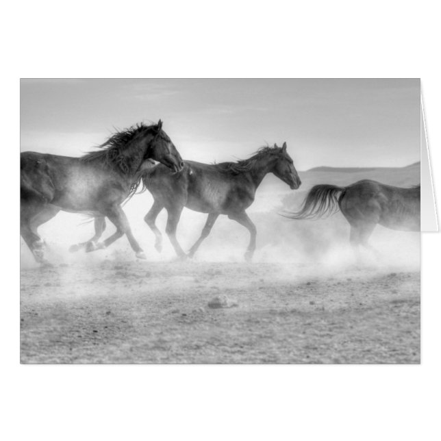 Cartão Funcionamento do mustang (Frente Horizontal)