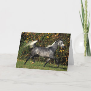 Cartão Funcionamento dos árabes: Outono