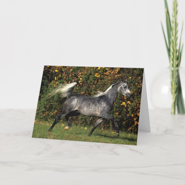 Cartão Funcionamento dos árabes: Outono (Frente)