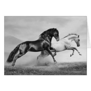 Cartão Funcionamento dos cavalos