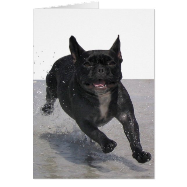 Cartão Funcionando na praia, Paris Merille (Frente)