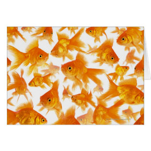 Cartão Fundo que mostra um grande grupo de peixe dourado