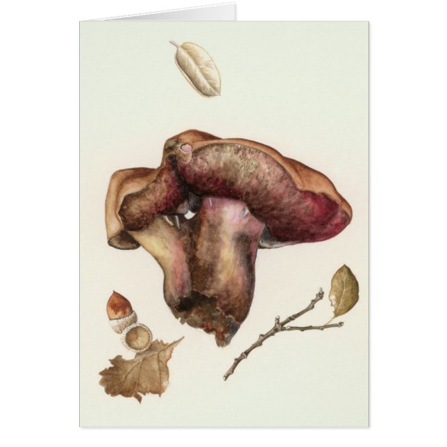 Cartão Fungo (Frente)