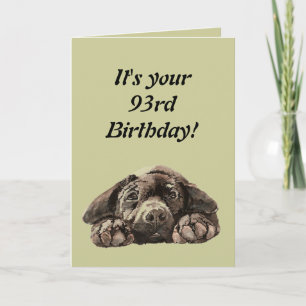 Cartão Funny 93rd Birthday Customize Labrador Retriever