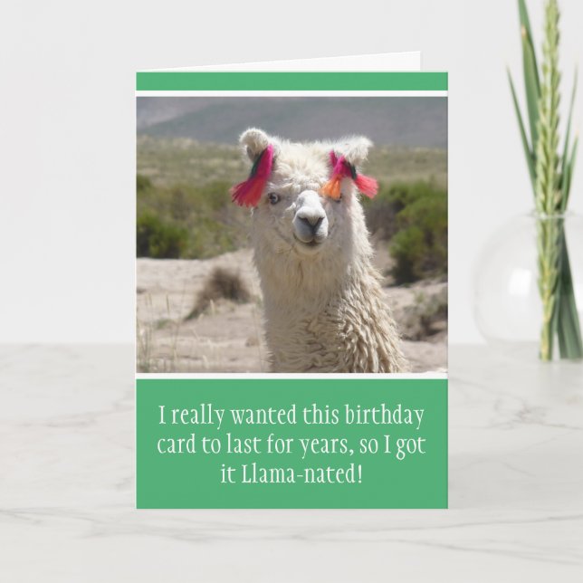 Cartão Funny Alpaca Llama Birthday (Frente)