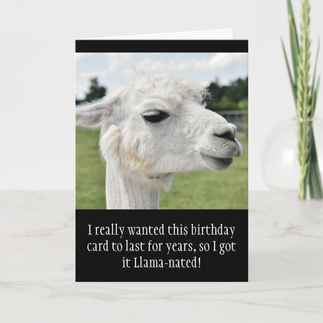 Cartão Funny Alpaca Llama Birthday (Frente)