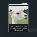 Cartão Funny Alpaca Llama Birthday<br><div class="desc">Fotografia de Alpaca Llama contra fundo natural de fazenda verde. Isto por todo o estilo impressão, design faz uma ideia impressionante de presente. Etiquetas: alpacas, lama, fazenda, "verde branco preto", "fotografia de amantes de lama bonito", "fotografias de animais engraçados", "animais de fazenda bonitos", "humor alpaca caprichoso", "nome monongrama personalizado", "crie...</div>