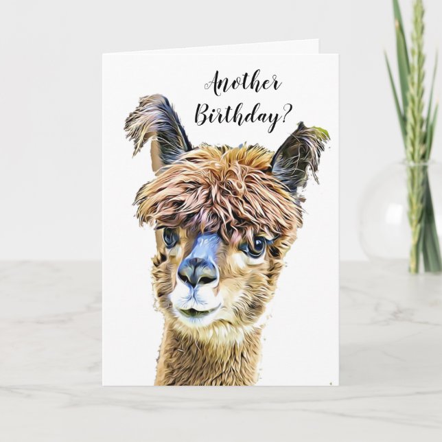 Cartão Funny Alpaca Llama Humor Birthday (Frente)