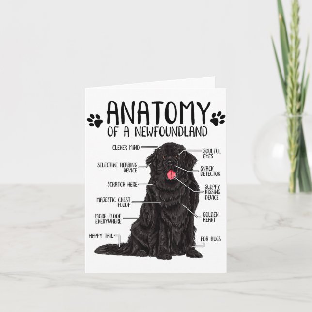 Cartão Funny Anatomy Newfoundland Dog Cute Newfie Lover  (Frente)