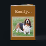 Cartão Funny Basset Hound "Dog Years" Birthday Card<br><div class="desc">Funny Basset Hound "Dog Years" Birthday Card</div>