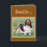 Cartão Funny Basset Hound "Dog Years" Birthday Card<br><div class="desc">Funny Basset Hound "Dog Years" Birthday Card</div>