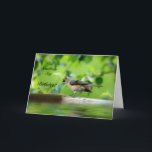 Cartão Funny Bird Birthday Card<br><div class="desc">When you want your loved one to smile,  send your birthday greetings on this beautifully photographed image ...  filled with charm and sure to delight!!!</div>