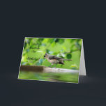 Cartão Funny Bird Birthday Card<br><div class="desc">When you want your loved one to smile,  send your birthday greetings on this beautifully photographed image ...  filled with charm and sure to delight!!!</div>