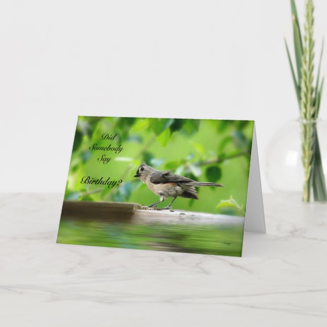 Cartão Funny Bird Birthday Card (Frente)