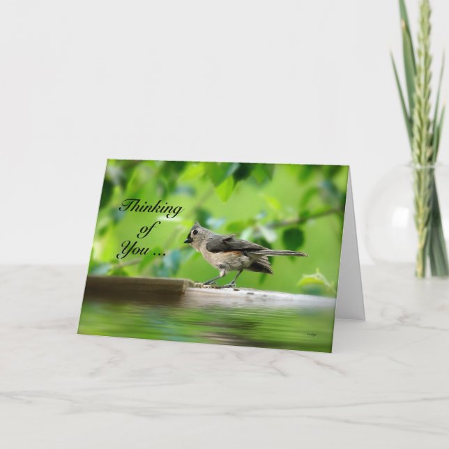 Cartão Funny Bird - Thinking of You Card (Frente)