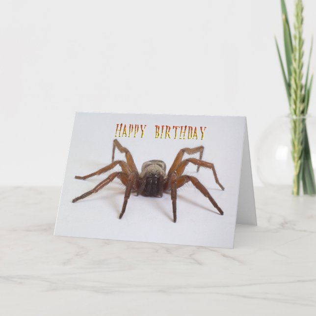 Cartão Funny birthday card (Frente)