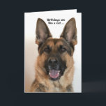 Cartão Funny Birthday Card<br><div class="desc">Funny birthday card for anyone with a German Shepherd dog. This card is customizable with your personalized message or name.</div>