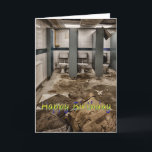 Cartão Funny birthday card<br><div class="desc">Ladies toilets in derelict school</div>