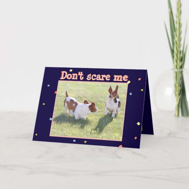 Cartão Funny Birthday Card w/Cute Basset Hounds (Frente)