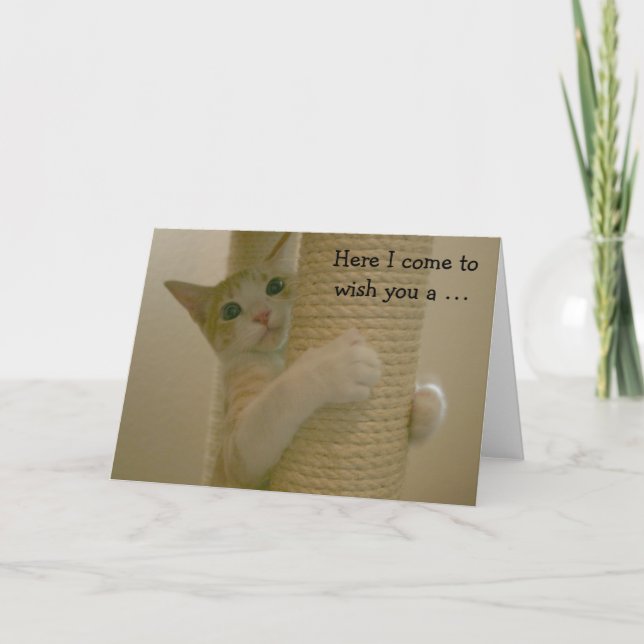 Cartão Funny Birthday Card with climbing Cat (Frente)
