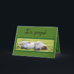 Cartão Funny Birthday Card with Sleeping Basset Hound<br><div class="desc">Funny Birthday Card with Sleeping Basset Hound</div>