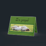 Cartão Funny Birthday Card with Sleeping Basset Hound<br><div class="desc">Funny Birthday Card with Sleeping Basset Hound</div>