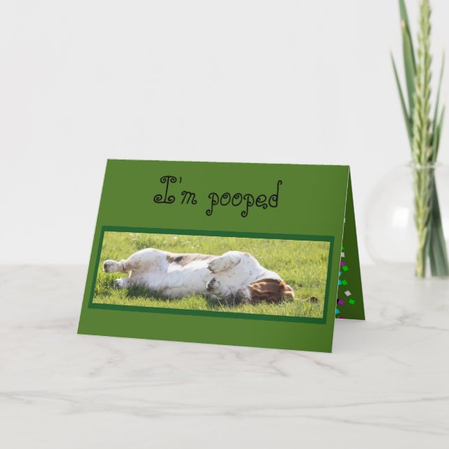 Cartão Funny Birthday Card with Sleeping Basset Hound (Frente)