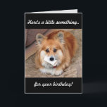 Cartão Funny Birthday Corgi com Osso<br><div class="desc">Fazê-los sorrir com nosso Funny Welsh Corgi com cartão de aniversário de ossos. Mantenha o texto ou personalize sua própria saudação pessoal. Projetado por www.zazzle.com/Corgigifts.</div>