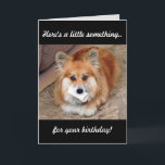 Cartão Funny Birthday Corgi com Osso<br><div class="desc">Fazê-los sorrir com nosso Funny Welsh Corgi com cartão de aniversário de ossos. Mantenha o texto ou personalize sua própria saudação pessoal. Projetado por www.zazzle.com/Corgigifts.</div>