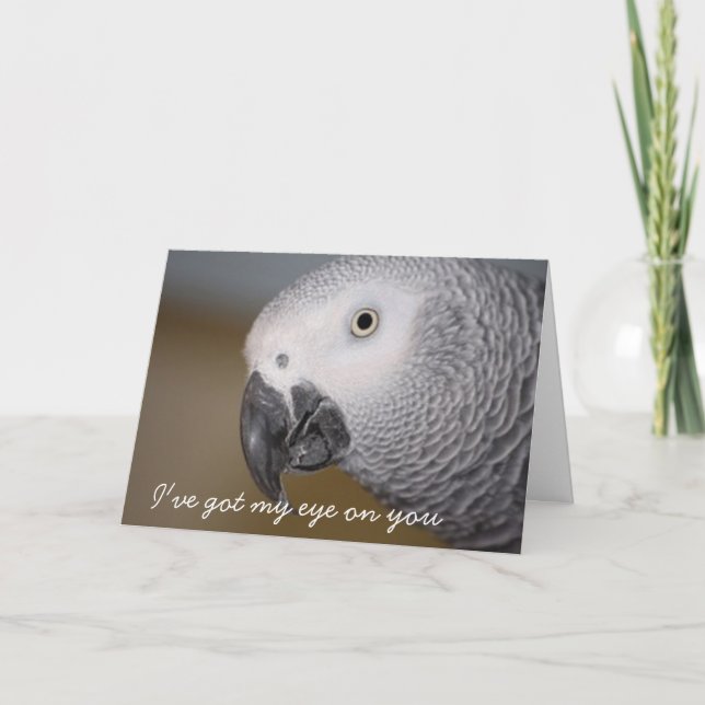 Cartão Funny Birthday Greeting Card (Frente)