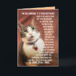 Cartão Funny Birthday Greeting From A Cat To A Teenager<br><div class="desc">Cute photo of a cat that talks like a teenager. Like how awesome is that? Umm... yeah,  like,  you know... cool.</div>