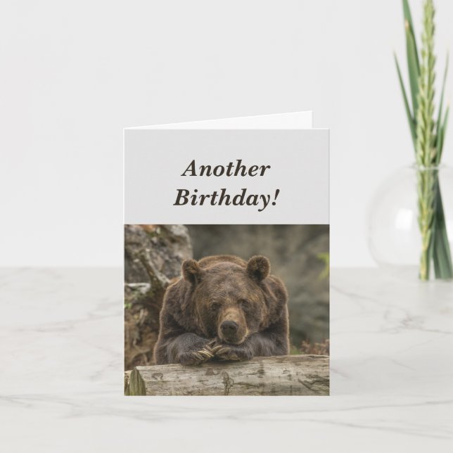 Cartão Funny Birthday it's Grizzly Bear Humor (Frente)