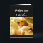 Cartão Funny Birthday Sneaking up on you Surprised Dog<br><div class="desc">Birthdays have a way of sneaking up on you.  Hope this one didn't catch you by surprise.  Happy Birthday surprised cute dog</div>