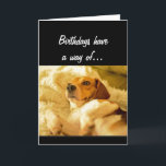 Cartão Funny Birthday Sneaking up on you Surprised Dog<br><div class="desc">Birthdays have a way of sneaking up on you.  Hope this one didn't catch you by surprise.  Happy Birthday surprised cute dog</div>