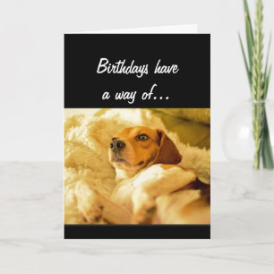Cartão Funny Birthday Sneaking up on you Surprised Dog