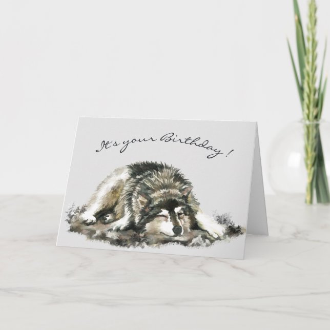 Cartão Funny Birthday Tired Napping Husky Dog Card (Frente)